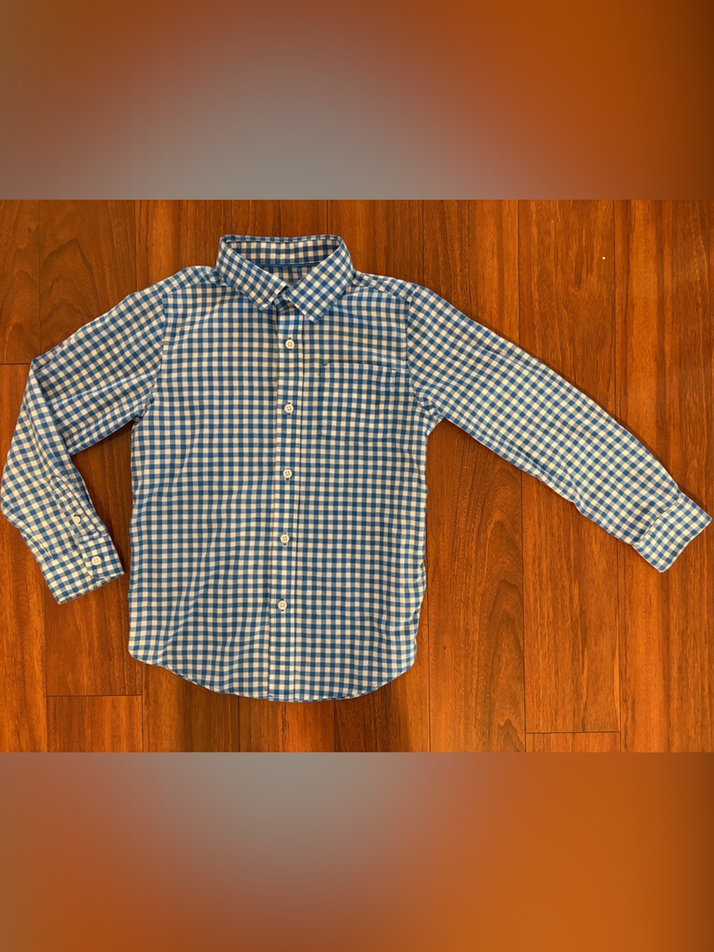 Cat & Jack Blue and White Gingham Button-Down Shirt